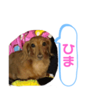 ゆめちゃんの1日②（個別スタンプ：8）