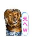 ゆめちゃんの1日②（個別スタンプ：9）