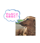 ゆめちゃんの1日②（個別スタンプ：11）