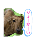 ゆめちゃんの1日②（個別スタンプ：12）