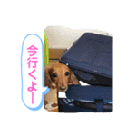 ゆめちゃんの1日②（個別スタンプ：13）