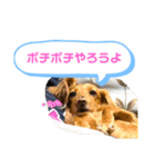 ゆめちゃんの1日②（個別スタンプ：15）