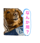 ゆめちゃんの1日②（個別スタンプ：16）