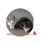子猫スタンプにゃーにゃー（個別スタンプ：18）
