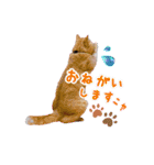 MAR I Oとしまま（個別スタンプ：4）
