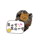 MAR I Oとしまま（個別スタンプ：13）