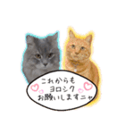 MAR I Oとしまま（個別スタンプ：24）