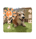 大好きはりあちゃん（個別スタンプ：2）