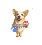 大好きはりあちゃん（個別スタンプ：14）