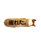 大好きはりあちゃん（個別スタンプ：15）