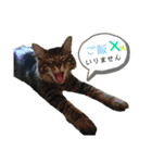 大好きはりあちゃん（個別スタンプ：19）