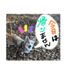 大好きはりあちゃん（個別スタンプ：24）