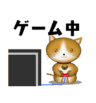 柴猫茶々の毎日3（個別スタンプ：19）