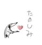 猫とネコ犬 やさぐれたち①（個別スタンプ：9）