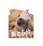 らいくんまん1（個別スタンプ：2）
