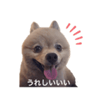 らいくんまん1（個別スタンプ：5）
