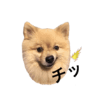 らいくんまん1（個別スタンプ：8）