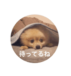 らいくんまん1（個別スタンプ：9）