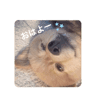 らいくんまん1（個別スタンプ：10）