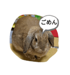 うさぎスタンプSPECIAL（個別スタンプ：2）