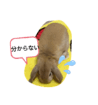 うさぎスタンプSPECIAL（個別スタンプ：4）