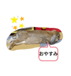うさぎスタンプSPECIAL（個別スタンプ：8）