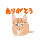 ほっこりリアルねこ（個別スタンプ：1）