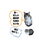 職人あるある（個別スタンプ：4）