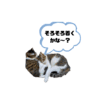 職人あるある（個別スタンプ：6）