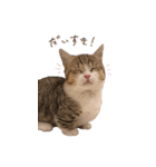 甘えんぼうのよぐ2（個別スタンプ：1）
