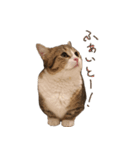 甘えんぼうのよぐ2（個別スタンプ：3）