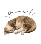 甘えんぼうのよぐ2（個別スタンプ：7）