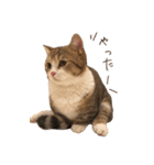 甘えんぼうのよぐ2（個別スタンプ：8）