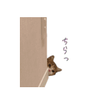 甘えんぼうのよぐ2（個別スタンプ：10）