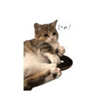 甘えんぼうのよぐ2（個別スタンプ：12）