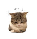 甘えんぼうのよぐ2（個別スタンプ：13）