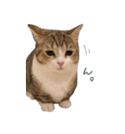 甘えんぼうのよぐ2（個別スタンプ：14）