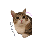 甘えんぼうのよぐ2（個別スタンプ：18）