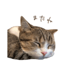 甘えんぼうのよぐ2（個別スタンプ：21）