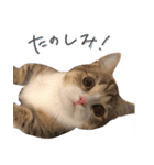 甘えんぼうのよぐ2（個別スタンプ：23）