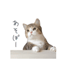 甘えんぼうのよぐ2（個別スタンプ：24）
