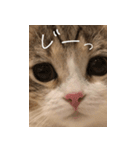 甘えんぼうのよぐ2（個別スタンプ：27）
