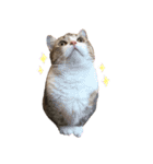 甘えんぼうのよぐ2（個別スタンプ：30）