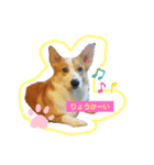 DAKOchan（個別スタンプ：4）