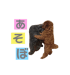 トイプースタンプ(ここ姉と妹ねね)（個別スタンプ：3）