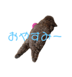 トイプースタンプ(ここ姉と妹ねね)（個別スタンプ：5）
