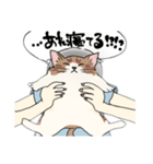 猫に言わす人（個別スタンプ：5）