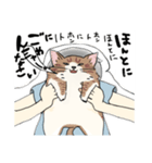 猫に言わす人（個別スタンプ：8）