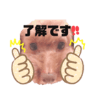 ココたん＆よもぎまる2（個別スタンプ：2）
