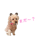 もこのかわいいスタンプ①（個別スタンプ：9）